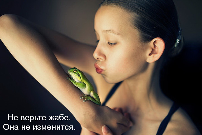 Сказка про жабу - Не влюбляйтесь в жабу