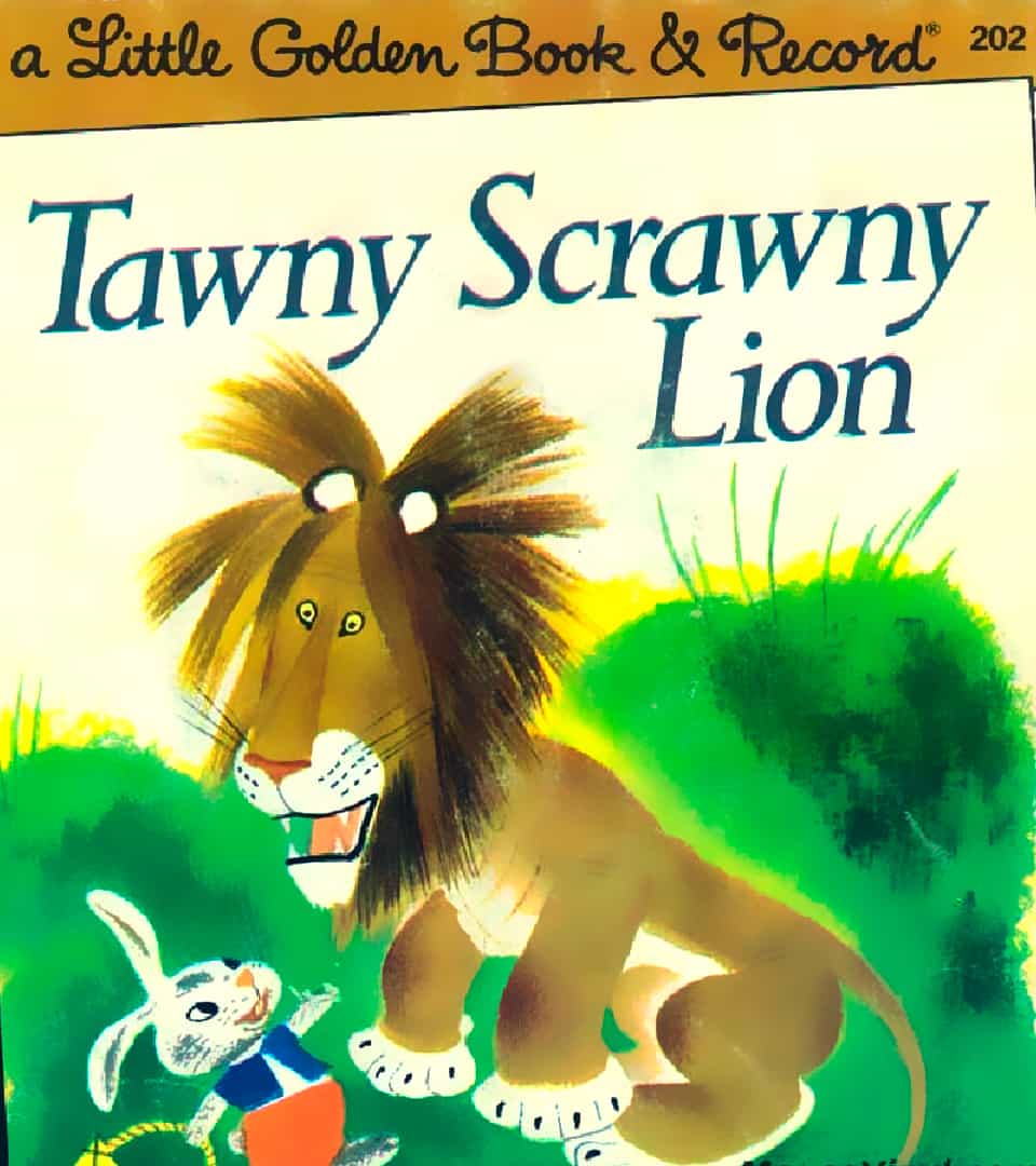 Tawny Scrawny Lion