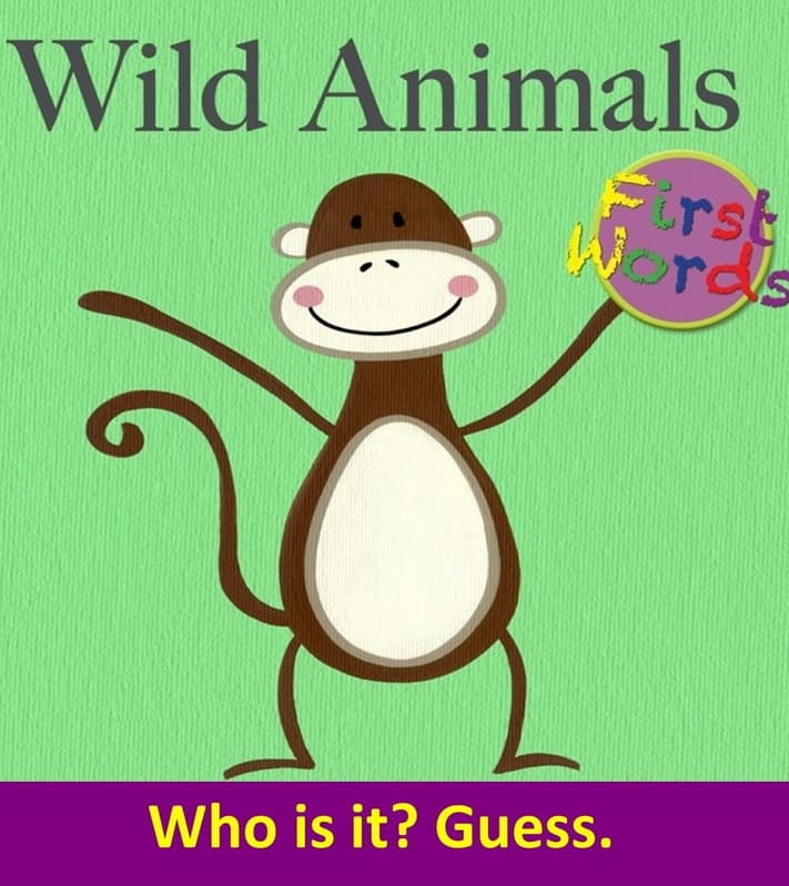 Wild animals questions