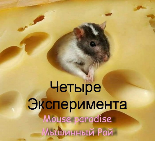 Four experiments