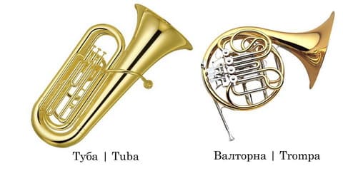 Труба, Валторна