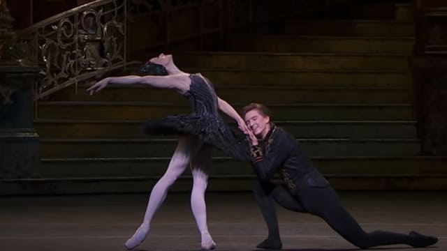 Лебединое озеро Pas De Deux III Акт