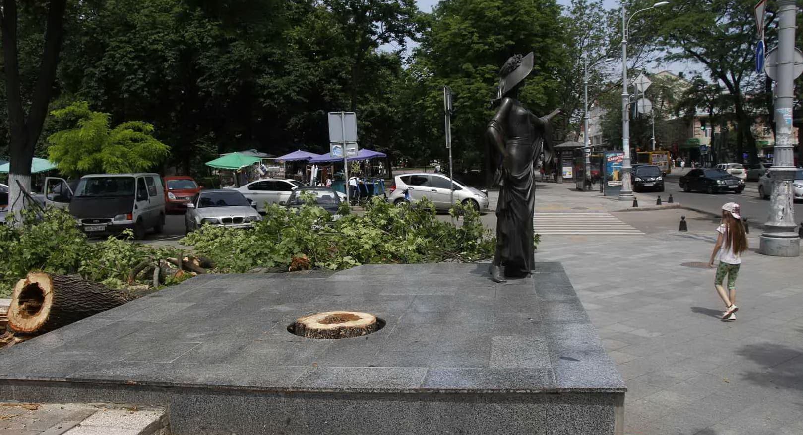 памятник Вере Холодной и подрезанное дерево